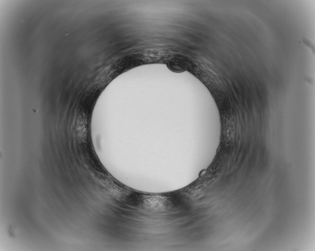 X0000096220226200802081532