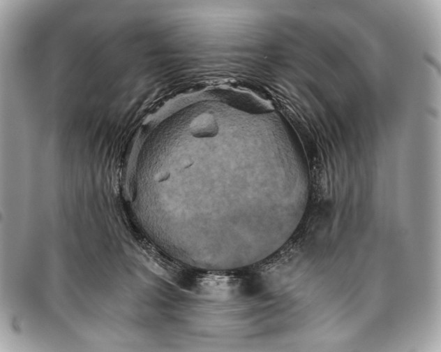 X0000096220227200802081532