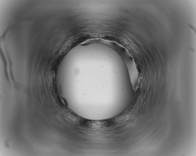 X0000096220229200802081532