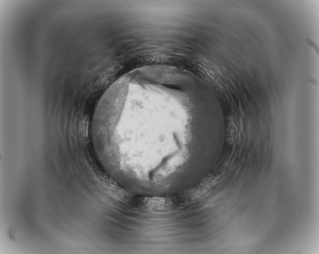 X0000096220230200802081532