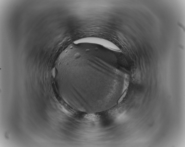 X0000096220231200802081532