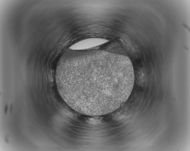 X0000096220232200802081532