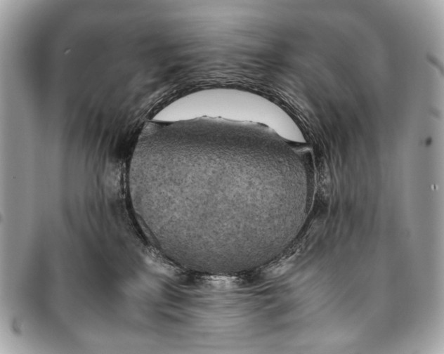 X0000096220233200802081532