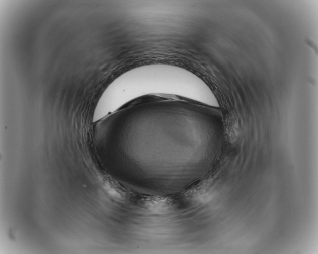 X0000096220235200802081532