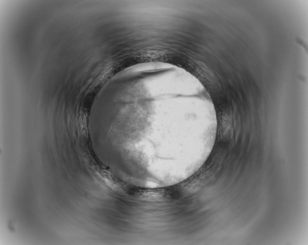 X0000096220236200802081532