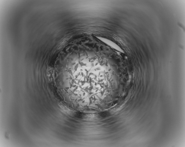 X0000096220237200802081532