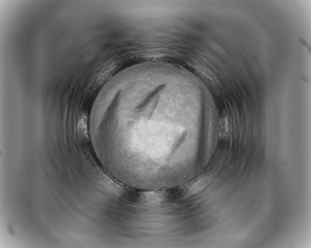 X0000096220238200802081532