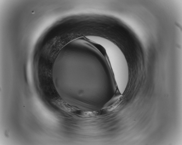 X0000096220239200802081532