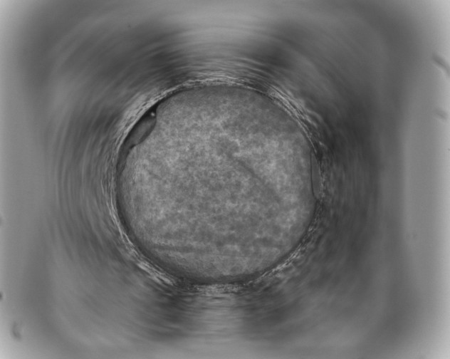 X0000096220241200802081531