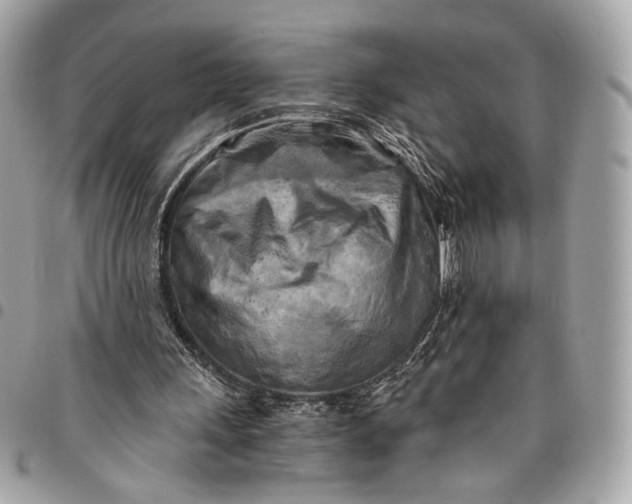 X0000096220243200802081531