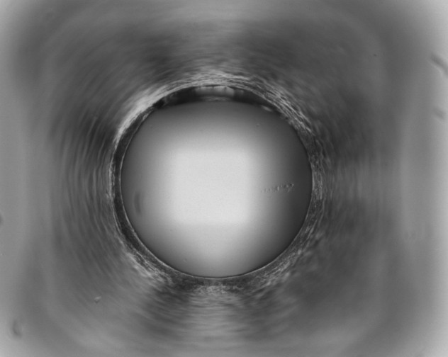 X0000096220244200802081531