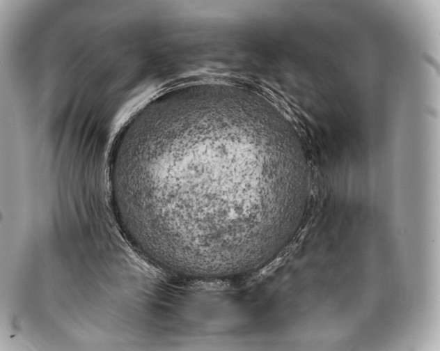 X0000096220245200802081531