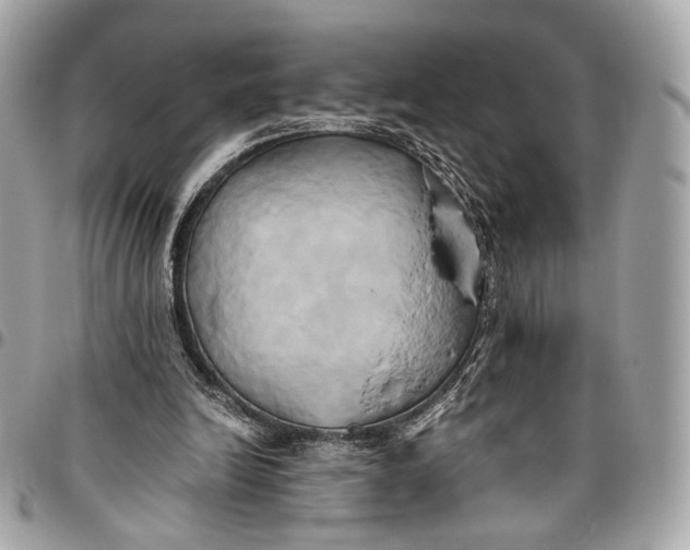 X0000096220246200802081531