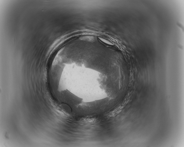 X0000096220247200802081531