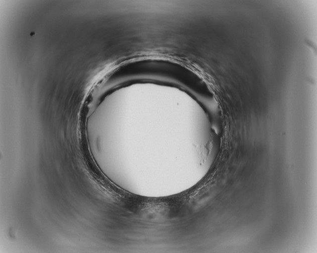 X0000096220248200802081531