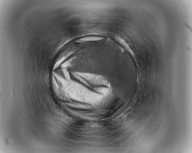 X0000096220249200802081531