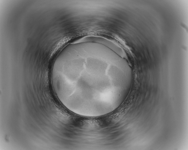 X0000096220250200802081531