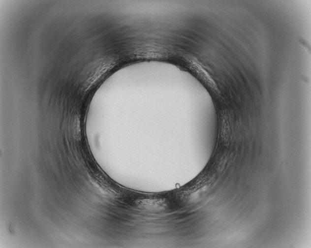 X0000096220251200802081531