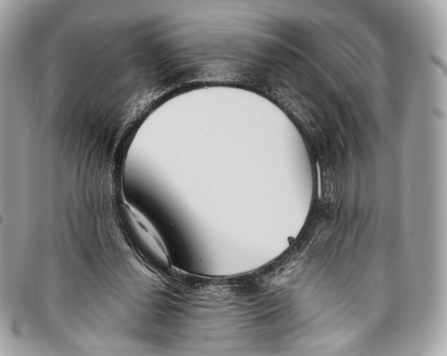 X0000096220252200802081531