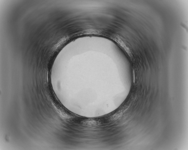 X0000096220253200802081531