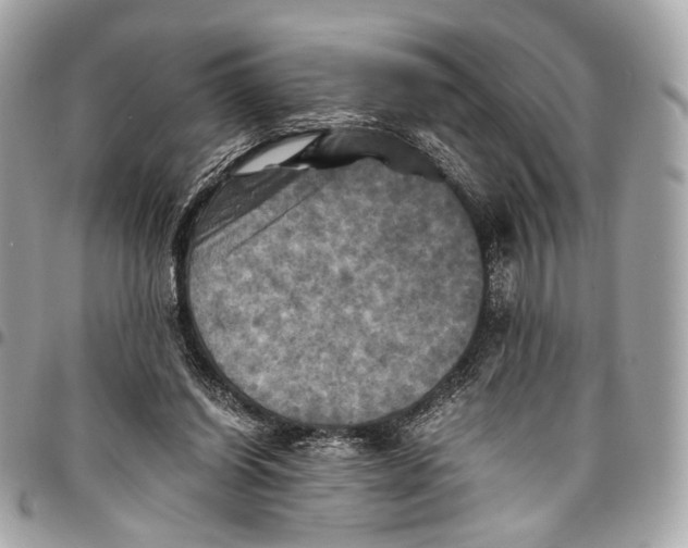 X0000096220254200802081531