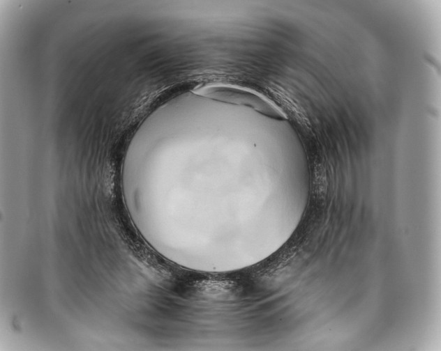 X0000096220255200802081531