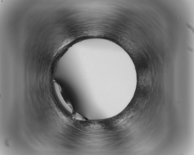 X0000096220256200802081532