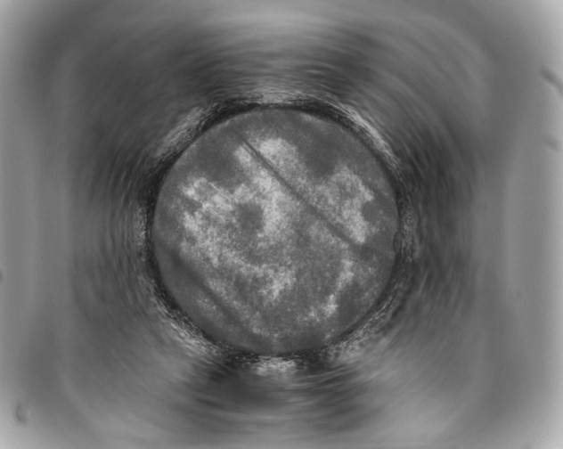 X0000096220257200802081532