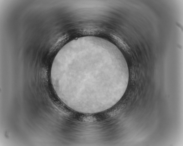 X0000096220258200802081532