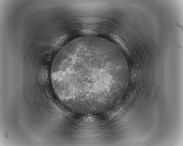 X0000096220259200802081532