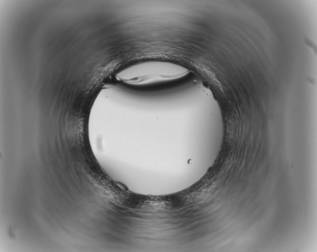 X0000096220260200802081532