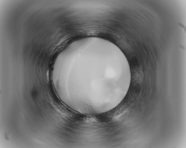 X0000096220262200802081532