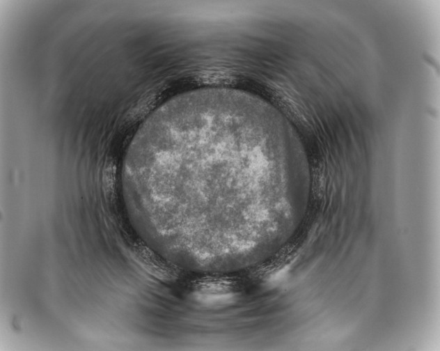 X0000096220263200802081532