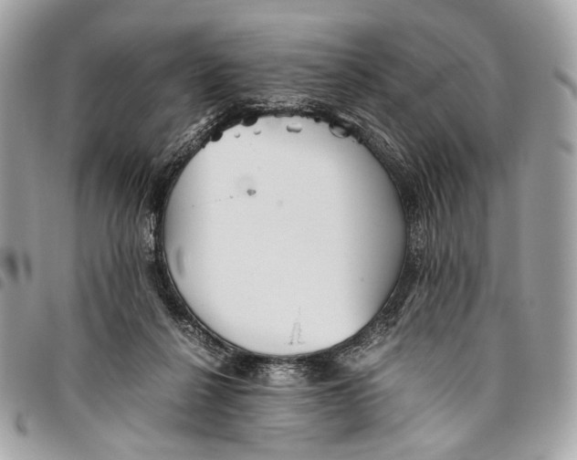 X0000096220264200802081532