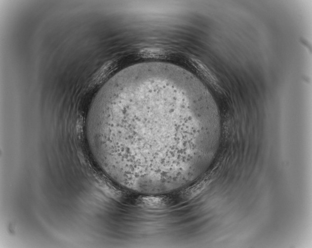 X0000096220265200802081532