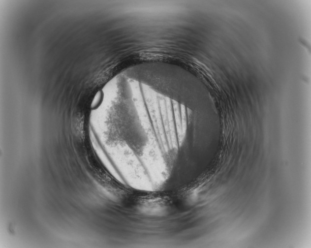 X0000096220267200802081532