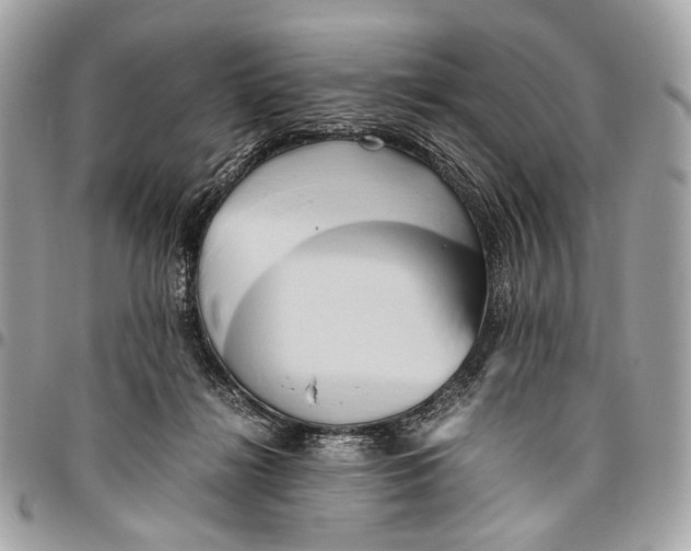 X0000096220268200802081532