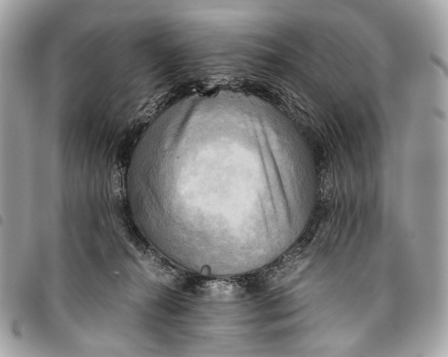 X0000096220272200802081532