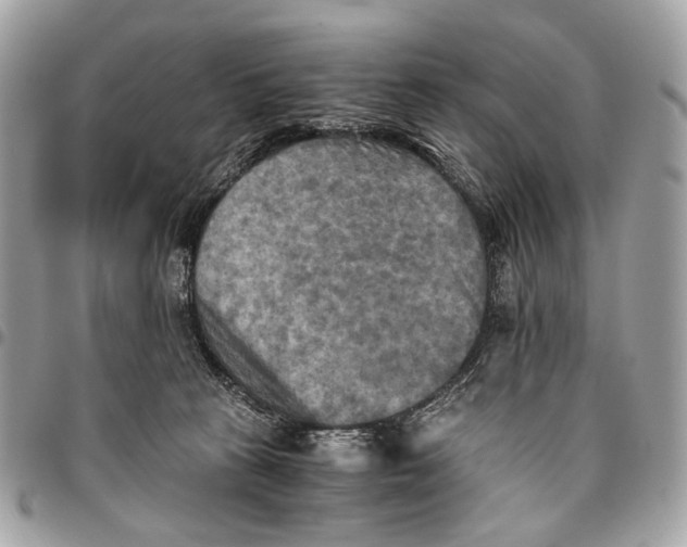 X0000096220273200802081532