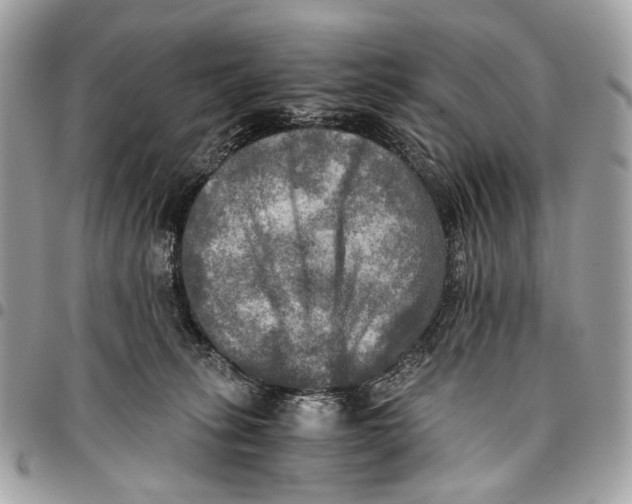 X0000096220275200802081532