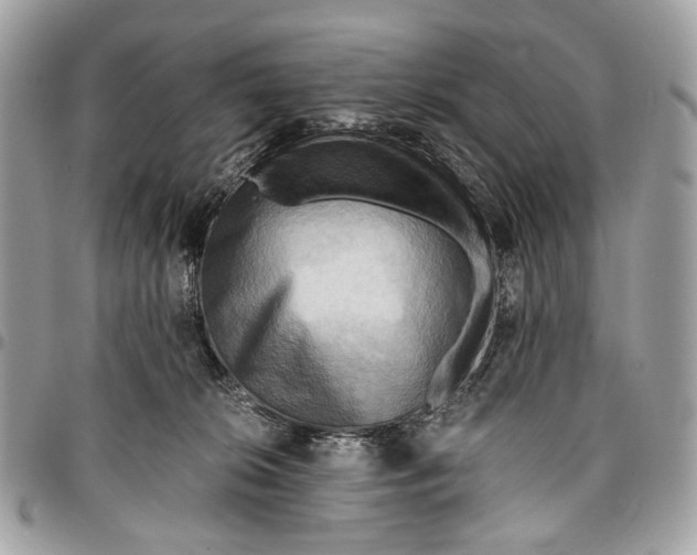 X0000096220276200802081532