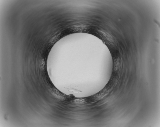 X0000096220279200802081532