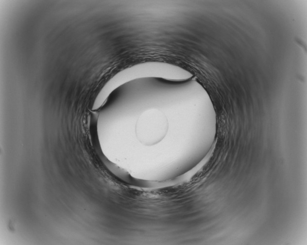 X0000096220280200802081532