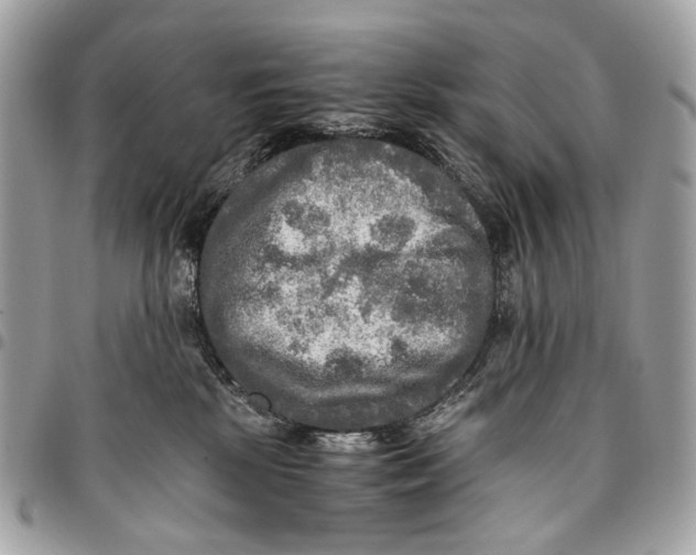 X0000096220281200802081532