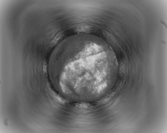 X0000096220282200802081532