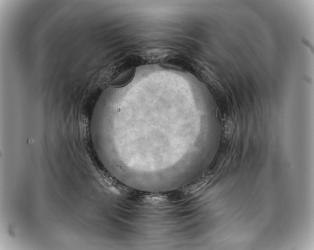 X0000096220283200802081532