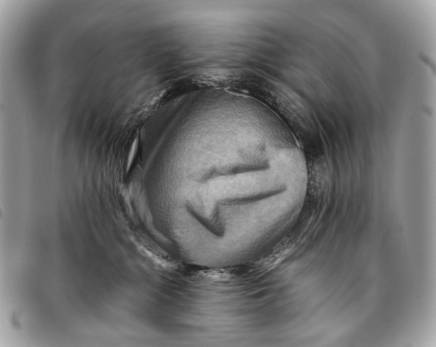 X0000096220284200802081532