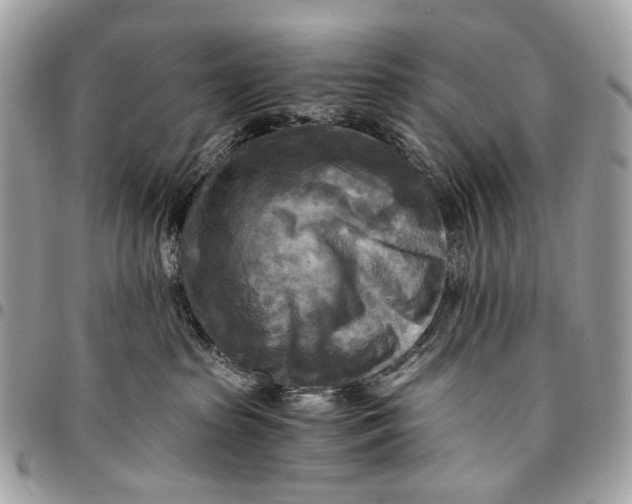 X0000096220285200802081532