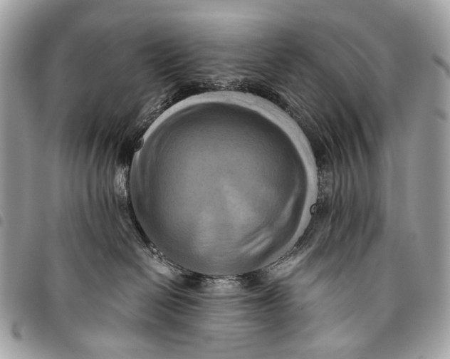 X0000096220286200802081532