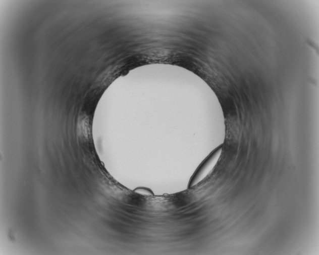 X0000096220287200802081532